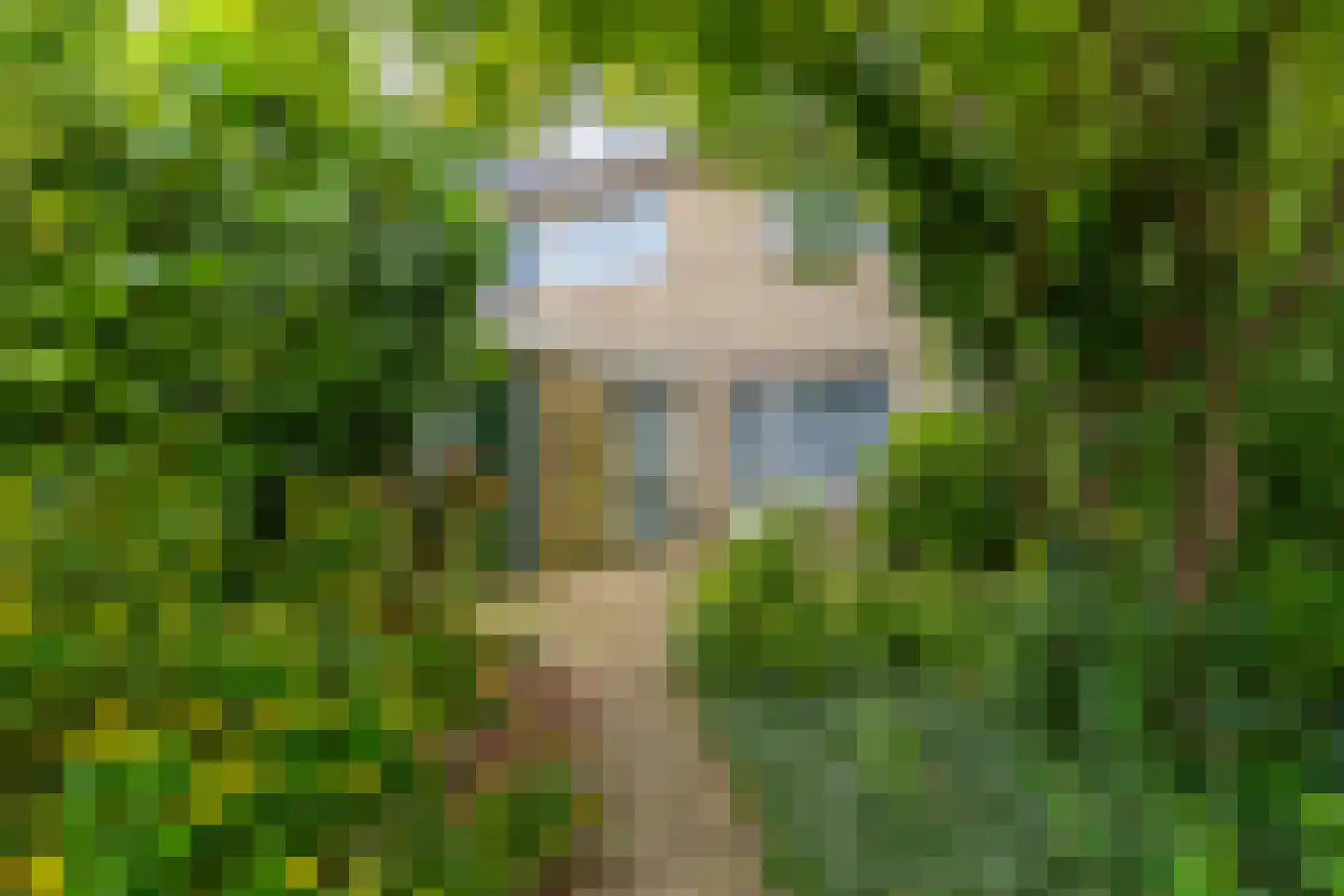 Boomstede 144 Maarssen thumbnail 6