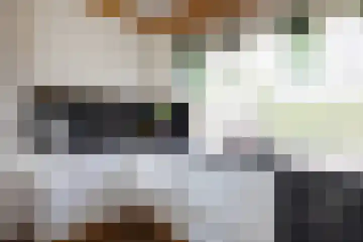 Boomstede 152 Maarssen thumbnail 17