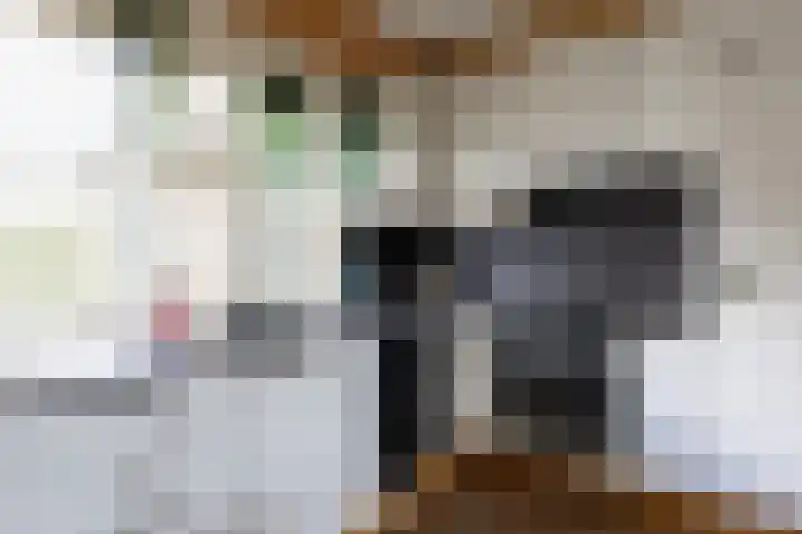 Boomstede 152 Maarssen thumbnail 18