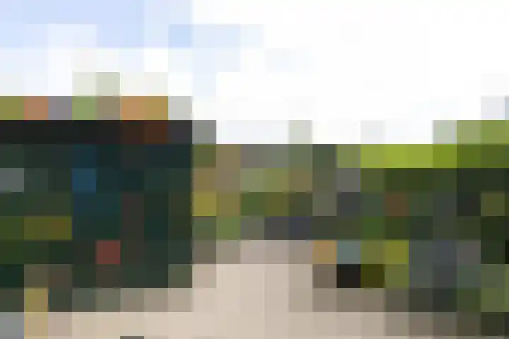Boomstede 152 Maarssen thumbnail 38