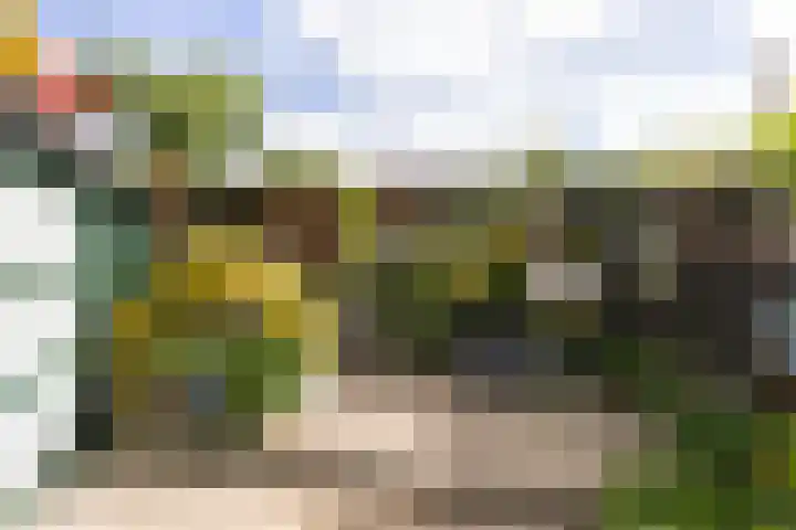 Boomstede 152 Maarssen thumbnail 39