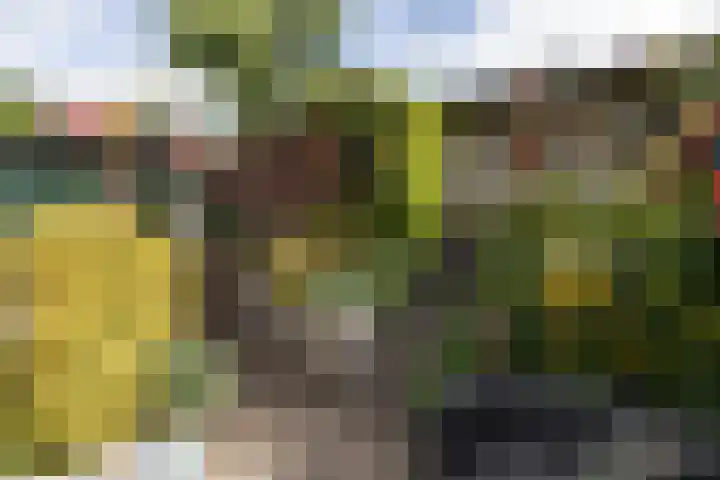 Boomstede 152 Maarssen thumbnail 40