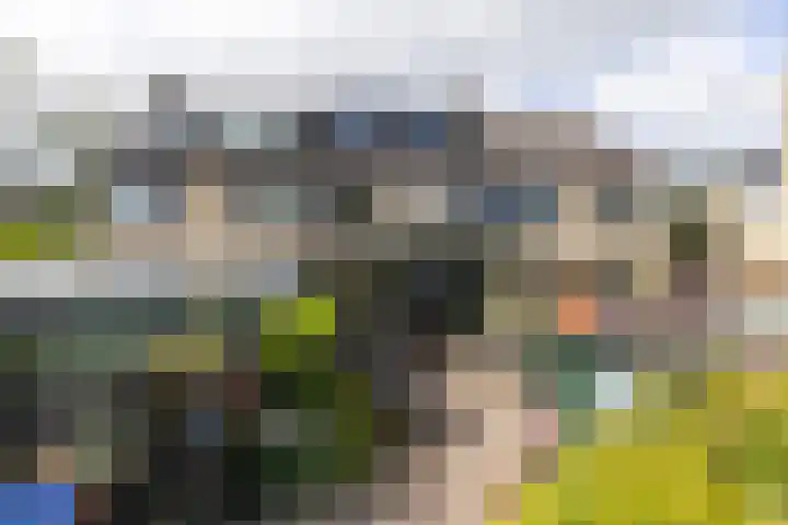 Boomstede 152 Maarssen thumbnail 41