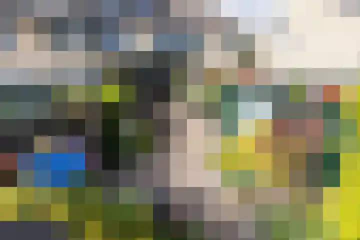 Boomstede 152 Maarssen thumbnail 42