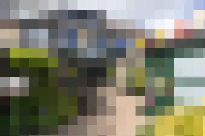 Boomstede 152 Maarssen thumbnail 43