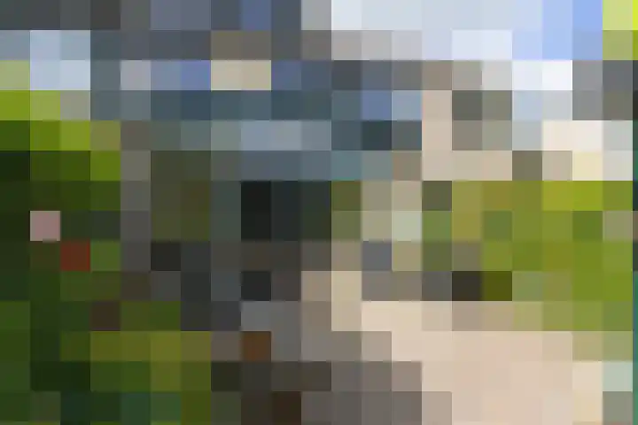 Boomstede 152 Maarssen thumbnail 44