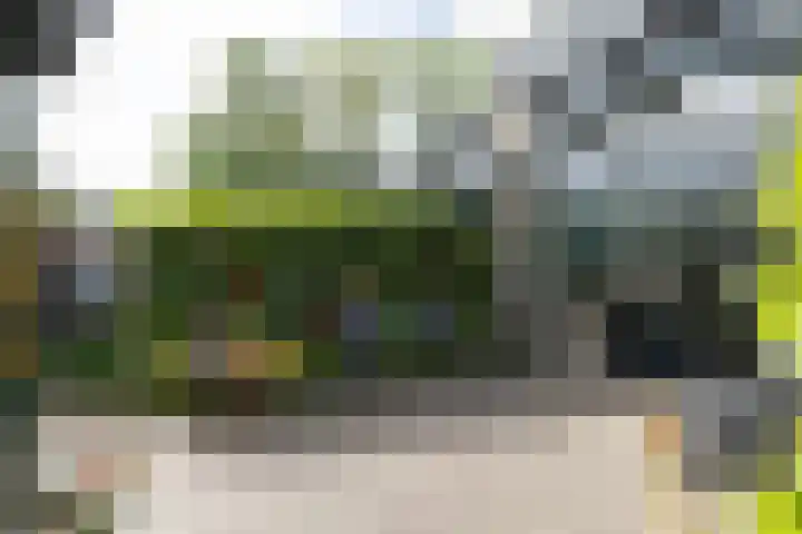 Boomstede 152 Maarssen thumbnail 45