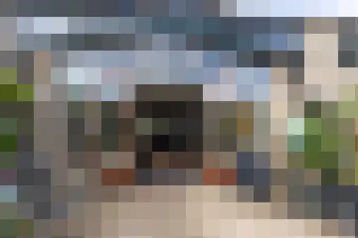 Boomstede 152 Maarssen thumbnail 46