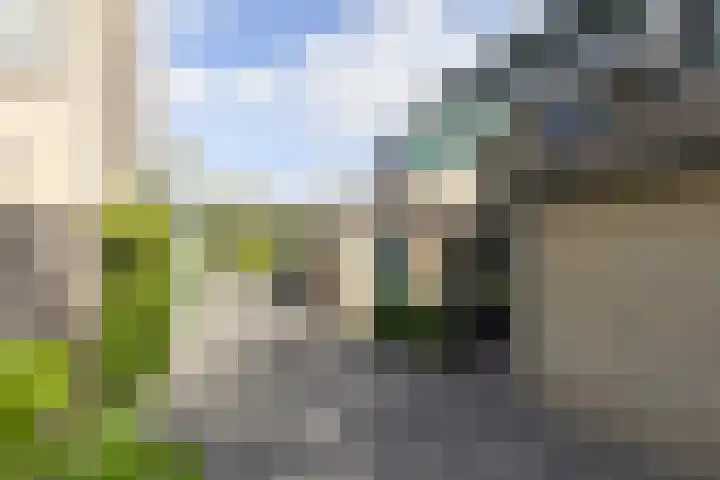 Boomstede 152 Maarssen thumbnail 47