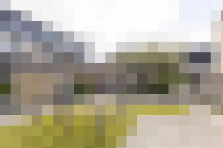 Boomstede 152 Maarssen thumbnail 48
