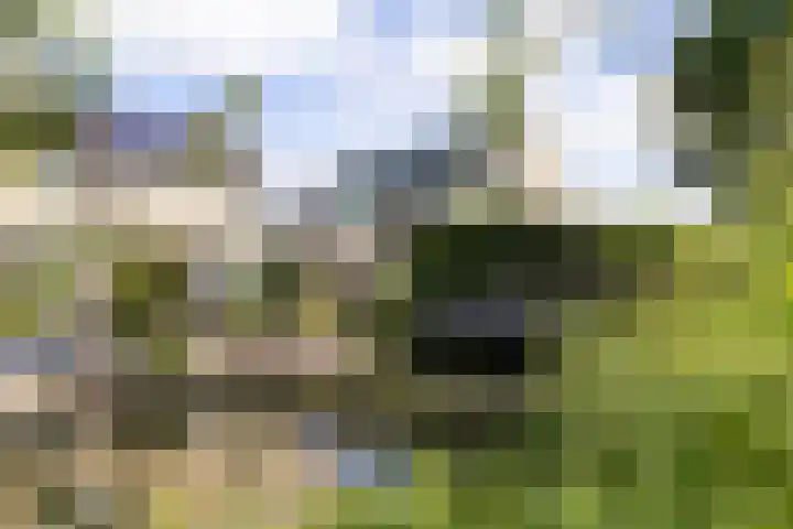 Boomstede 152 Maarssen thumbnail 49