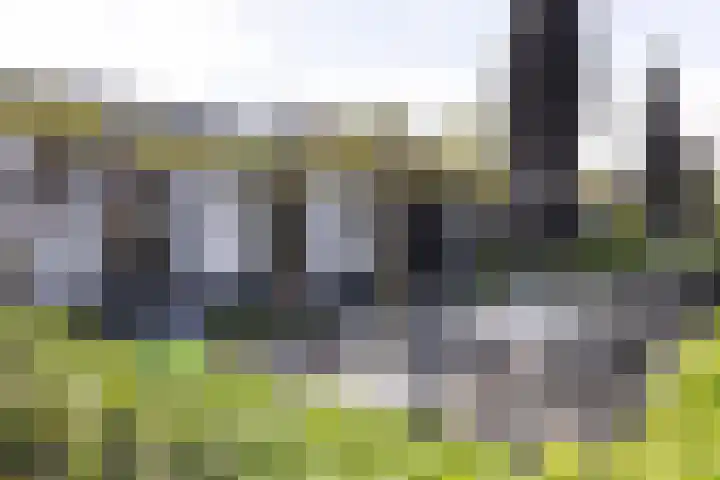 Boomstede 152 Maarssen thumbnail 50