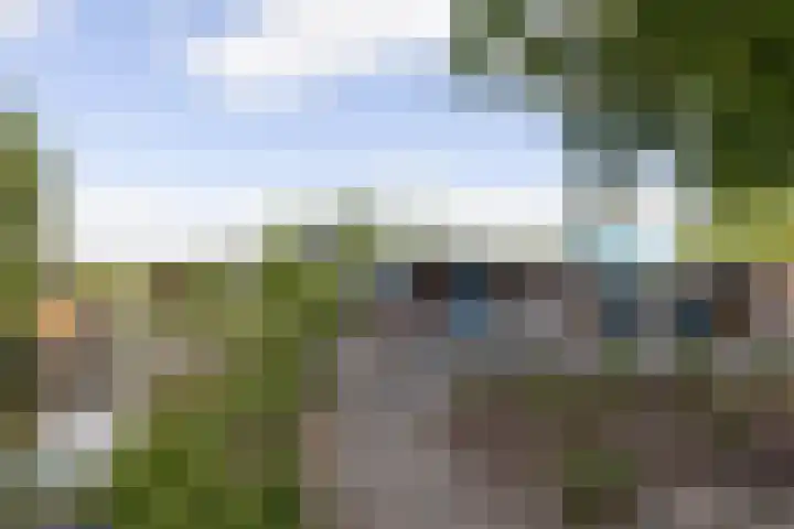 Boomstede 152 Maarssen thumbnail 51