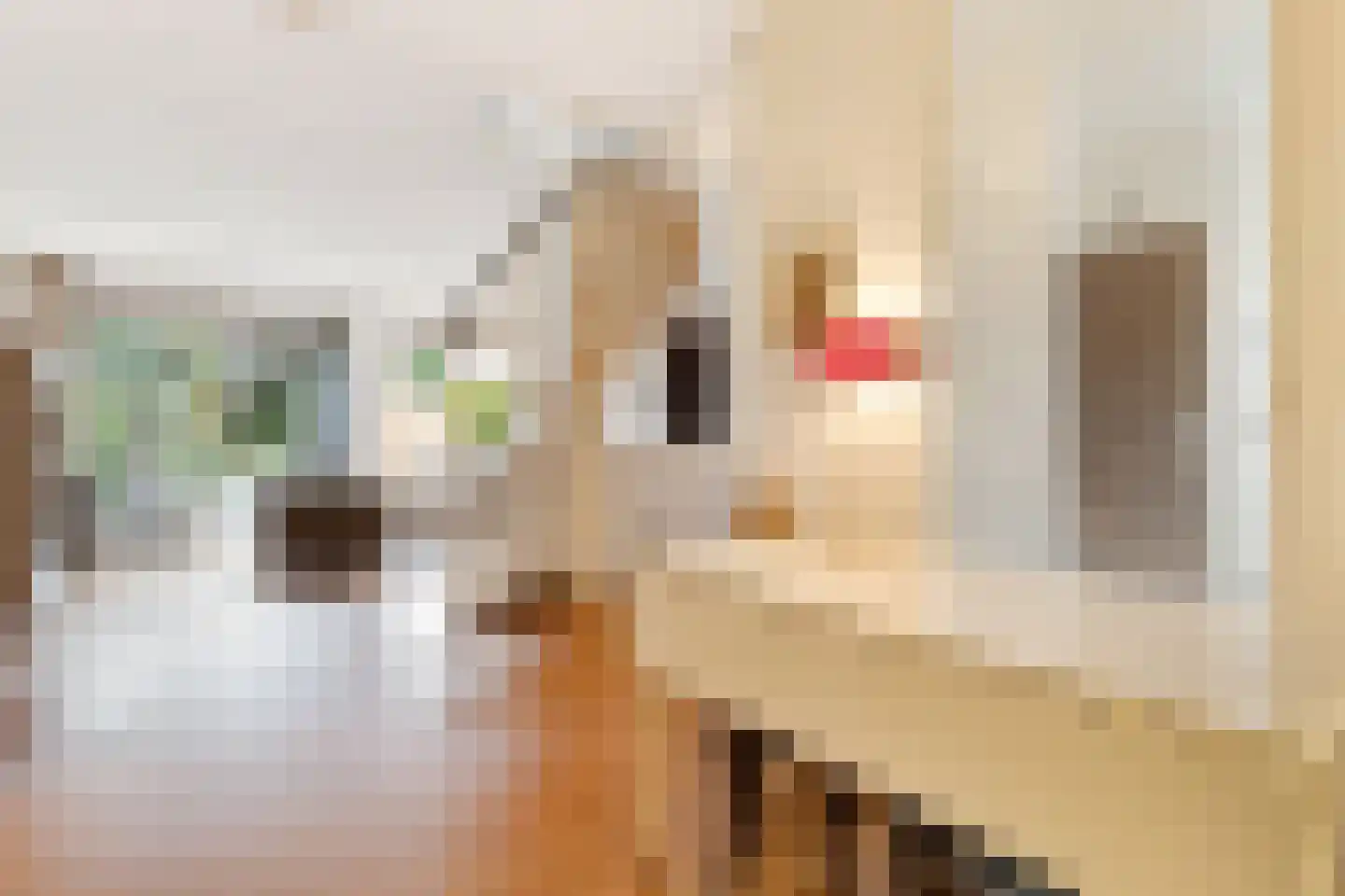 Boomstede 192 Maarssen thumbnail 13