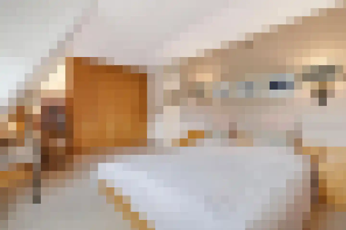 Boomstede 192 Maarssen thumbnail 20