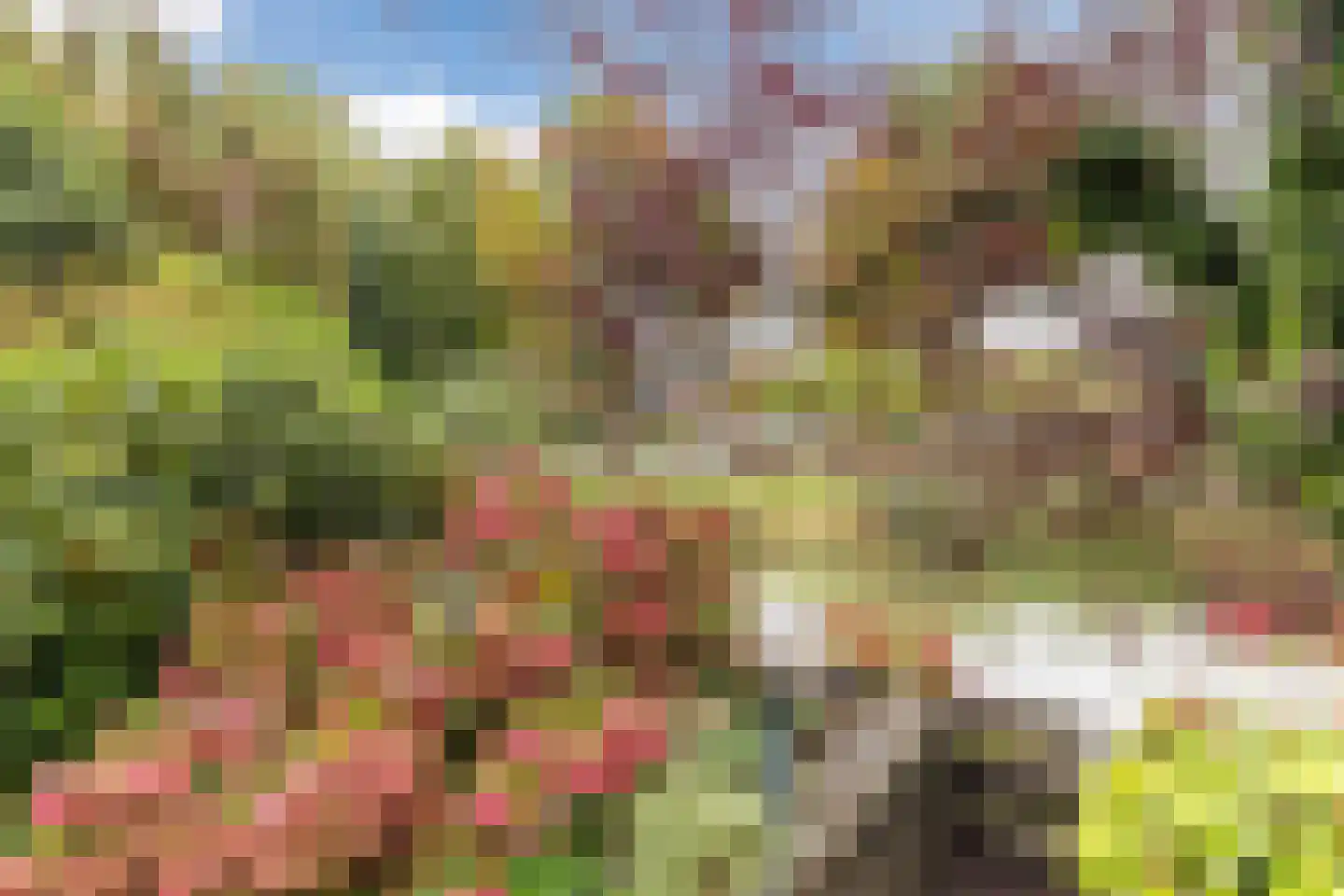Boomstede 192 Maarssen thumbnail 35