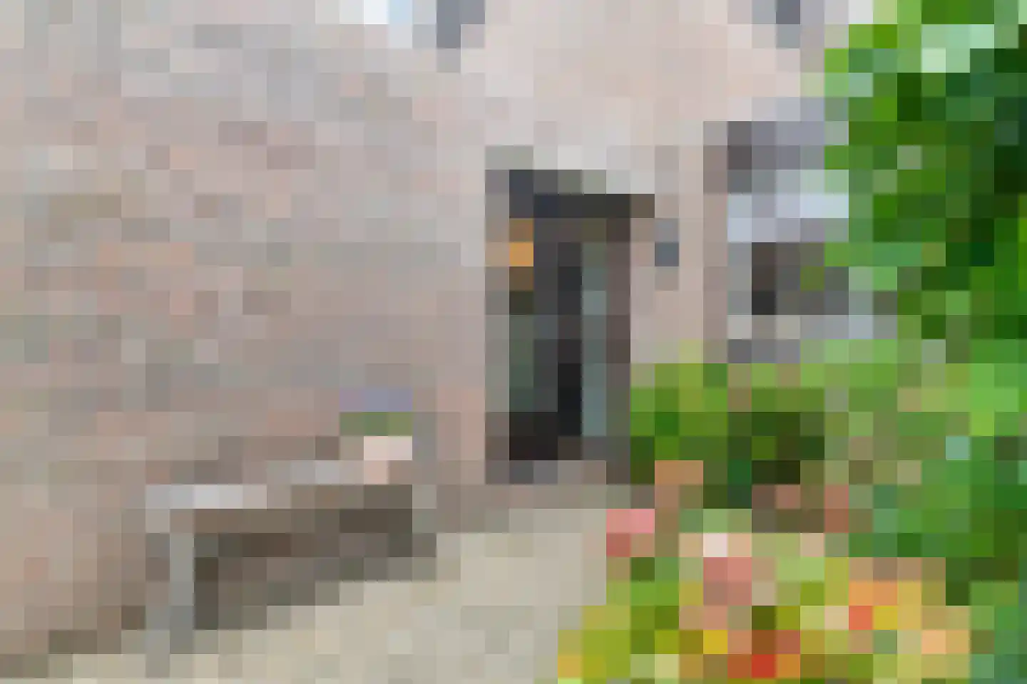 Boomstede 192 Maarssen thumbnail 39
