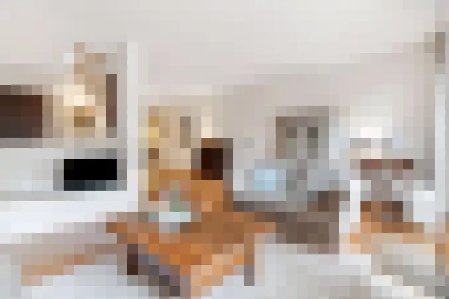 Boomstede 192 Maarssen thumbnail 4