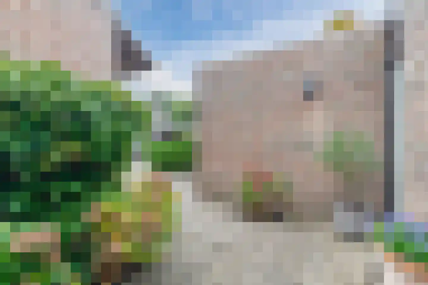 Boomstede 192 Maarssen thumbnail 40