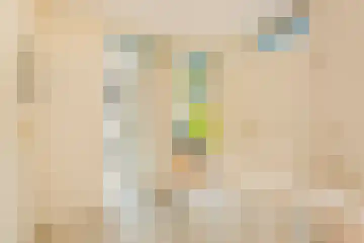 Boomstede 193 Maarssen thumbnail 17