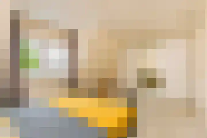 Boomstede 193 Maarssen thumbnail 20