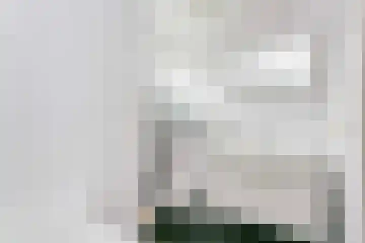 Boomstede 193 Maarssen thumbnail 24