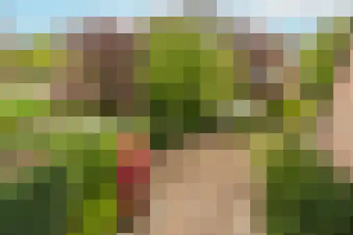Boomstede 193 Maarssen thumbnail 25