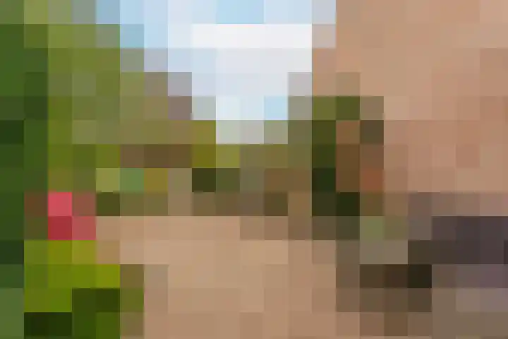 Boomstede 193 Maarssen thumbnail 26