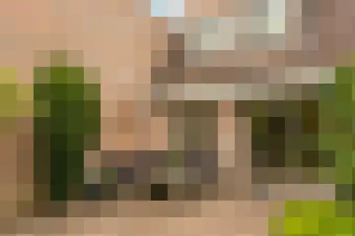 Boomstede 193 Maarssen thumbnail 27