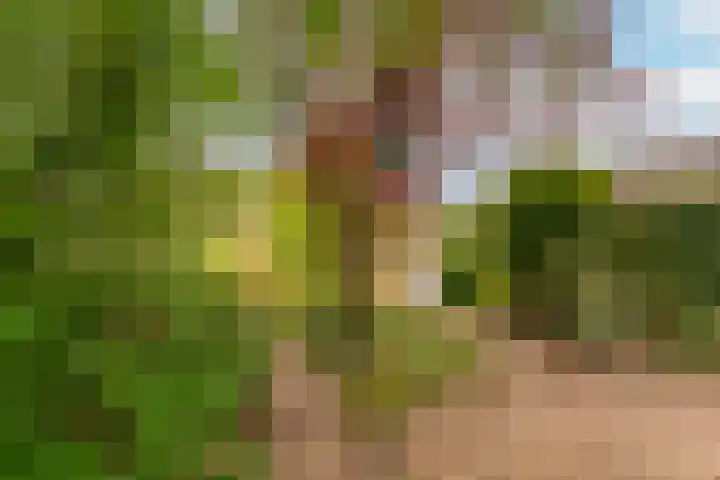 Boomstede 193 Maarssen thumbnail 28