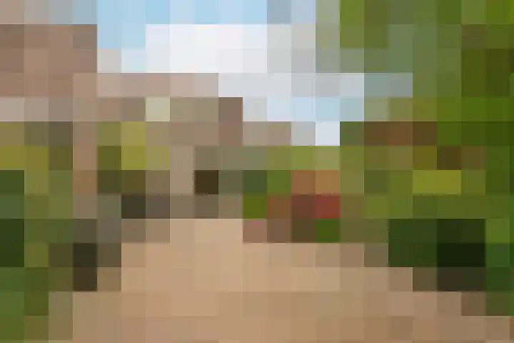 Boomstede 193 Maarssen thumbnail 30