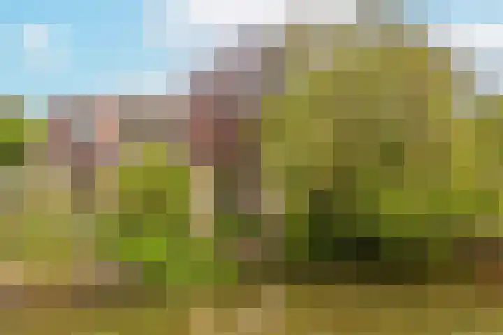 Boomstede 193 Maarssen thumbnail 31