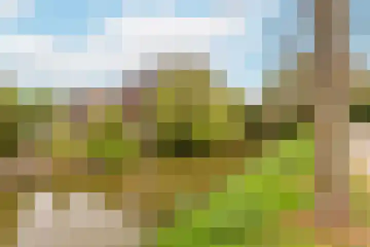 Boomstede 193 Maarssen thumbnail 32