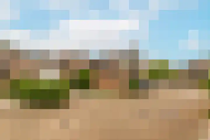 Boomstede 193 Maarssen thumbnail 33