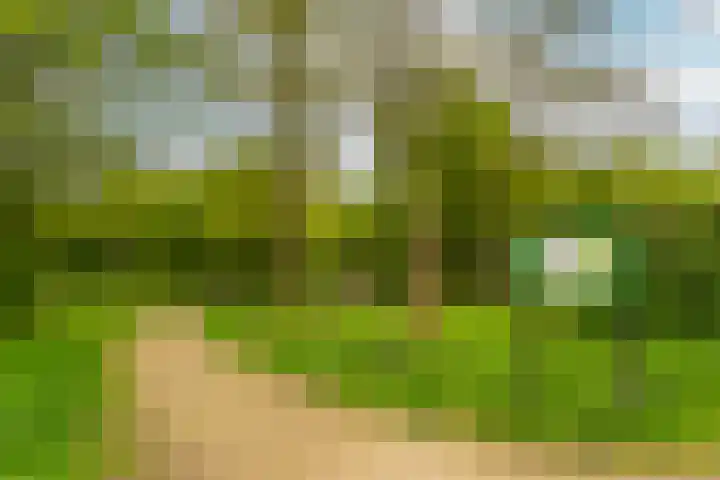 Boomstede 193 Maarssen thumbnail 34