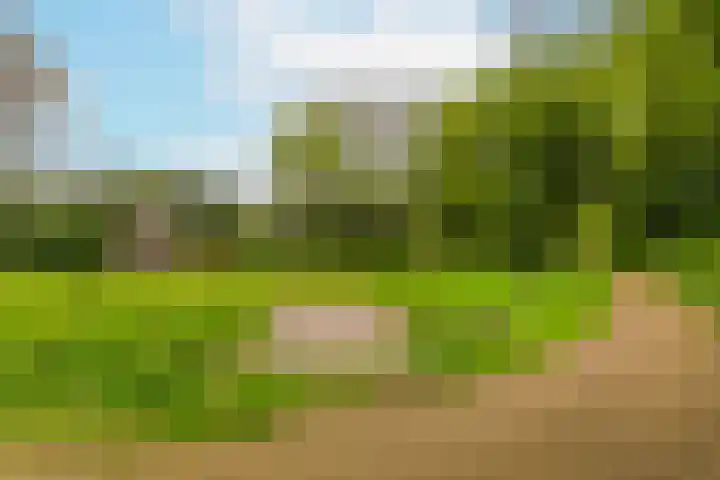 Boomstede 193 Maarssen thumbnail 35