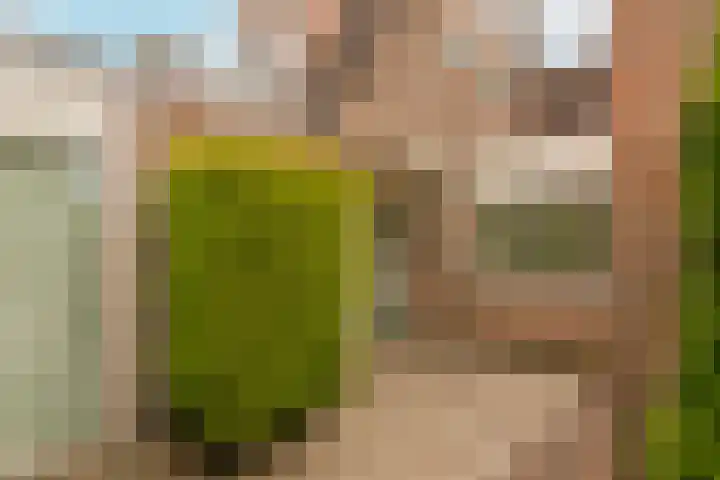 Boomstede 193 Maarssen thumbnail 4