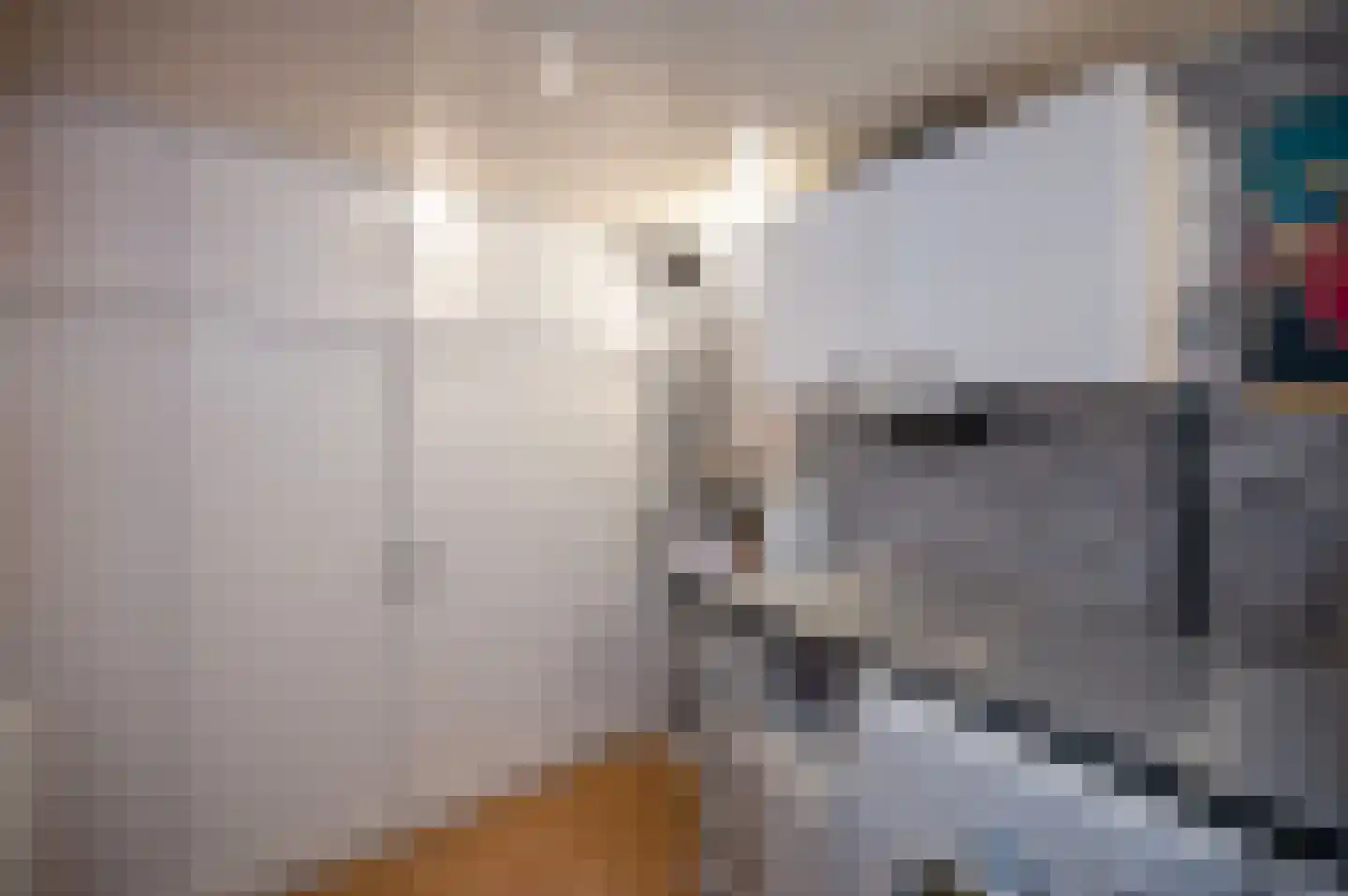 Boomstede 249 Maarssen thumbnail 11