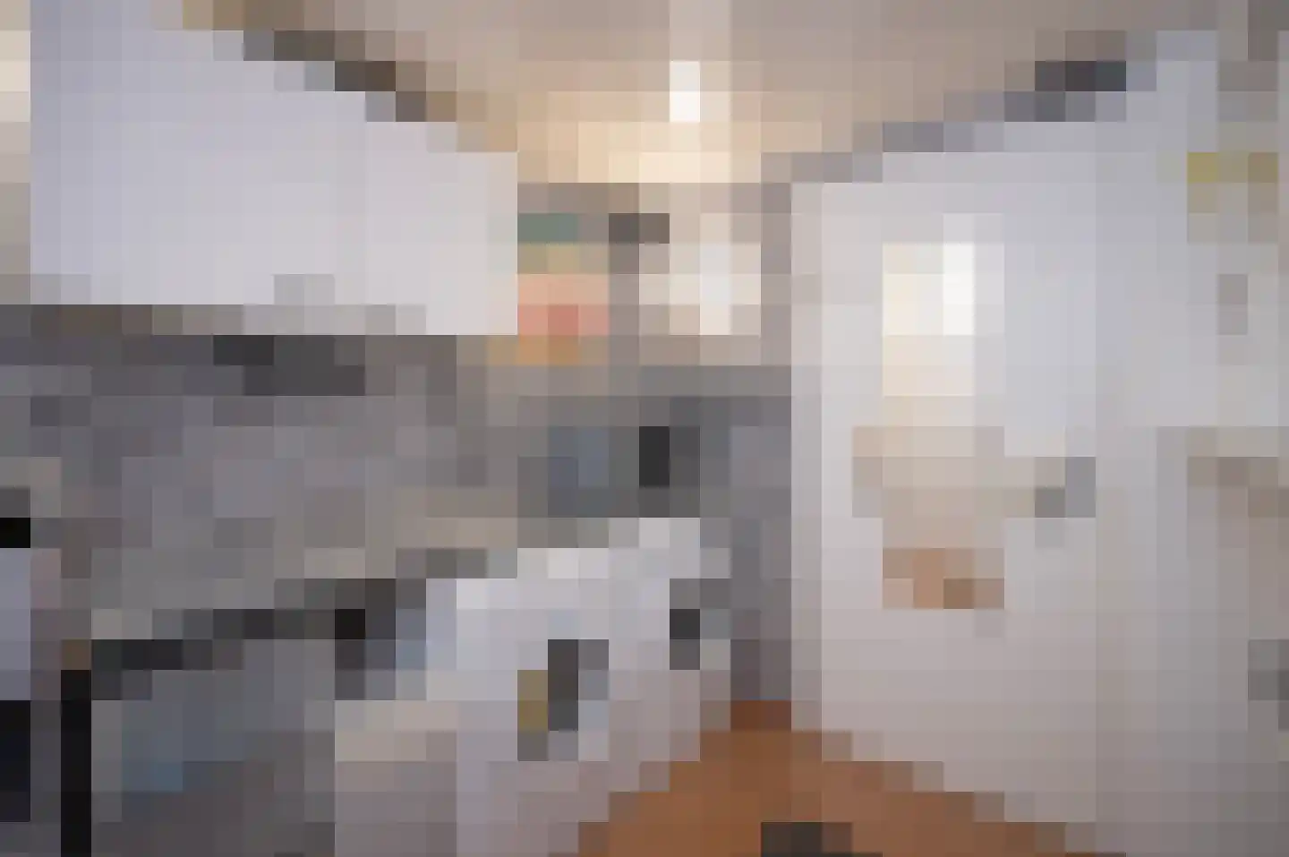 Boomstede 249 Maarssen thumbnail 12