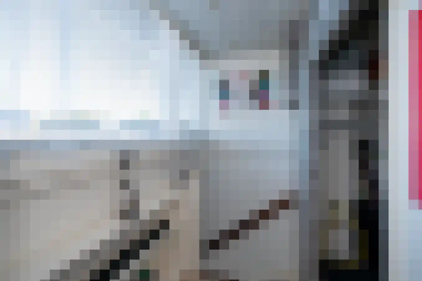 Boomstede 249 Maarssen thumbnail 33