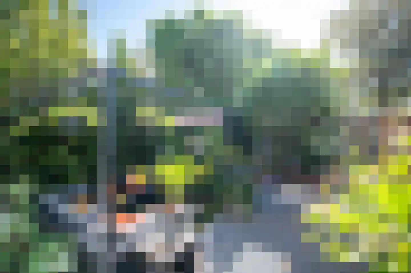 Boomstede 249 Maarssen thumbnail 39