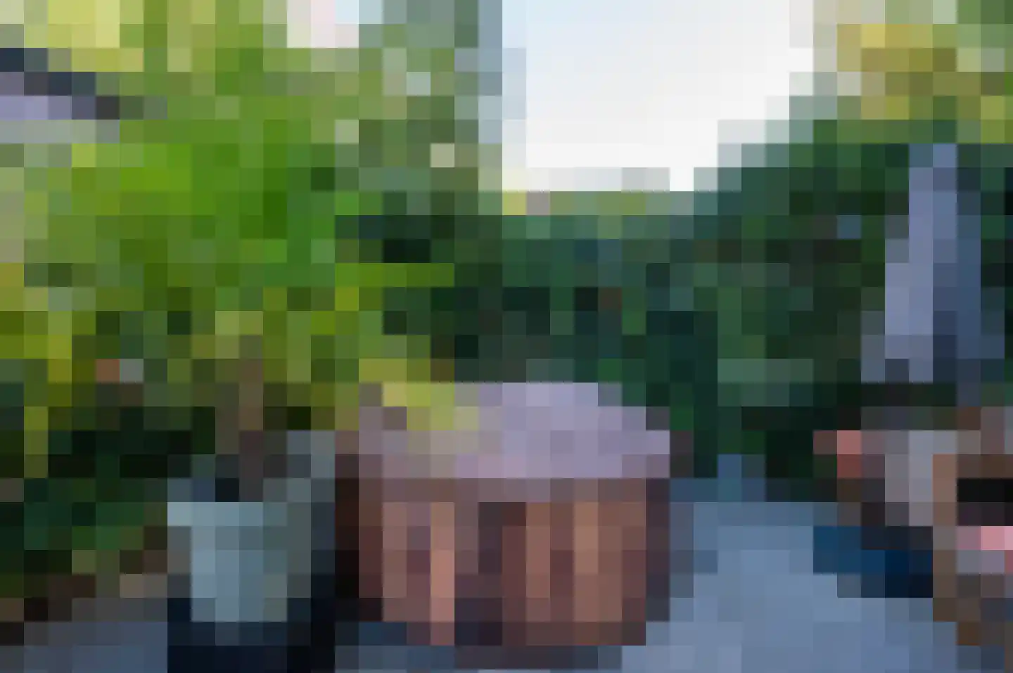 Boomstede 249 Maarssen thumbnail 41