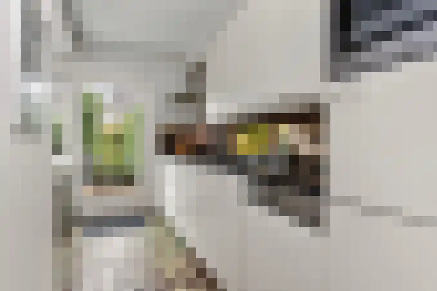 Boomstede 268 Maarssen thumbnail 18