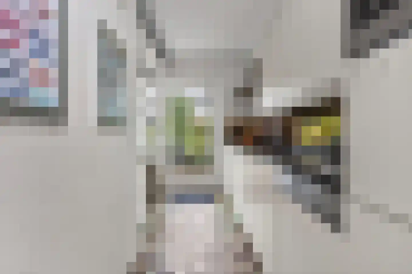Boomstede 268 Maarssen thumbnail 19