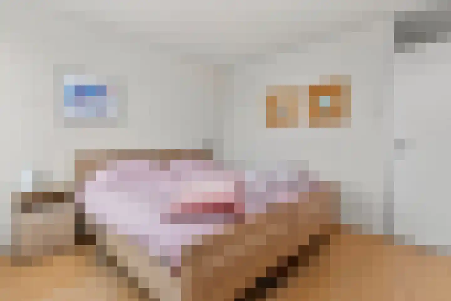 Boomstede 268 Maarssen thumbnail 36