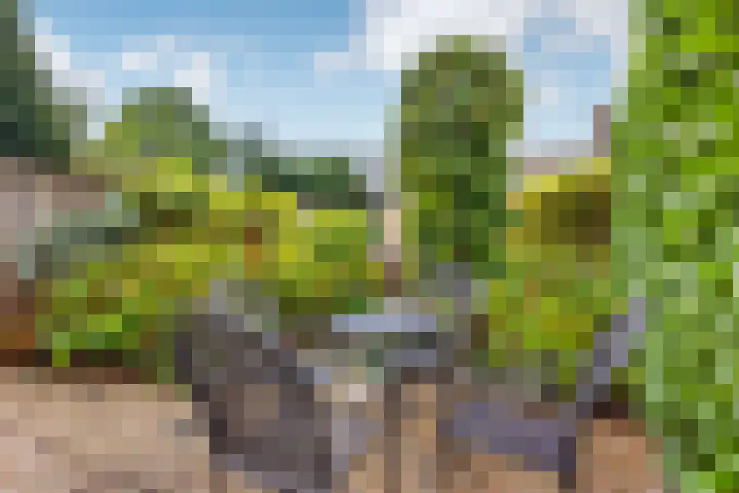 Boomstede 268 Maarssen thumbnail 46