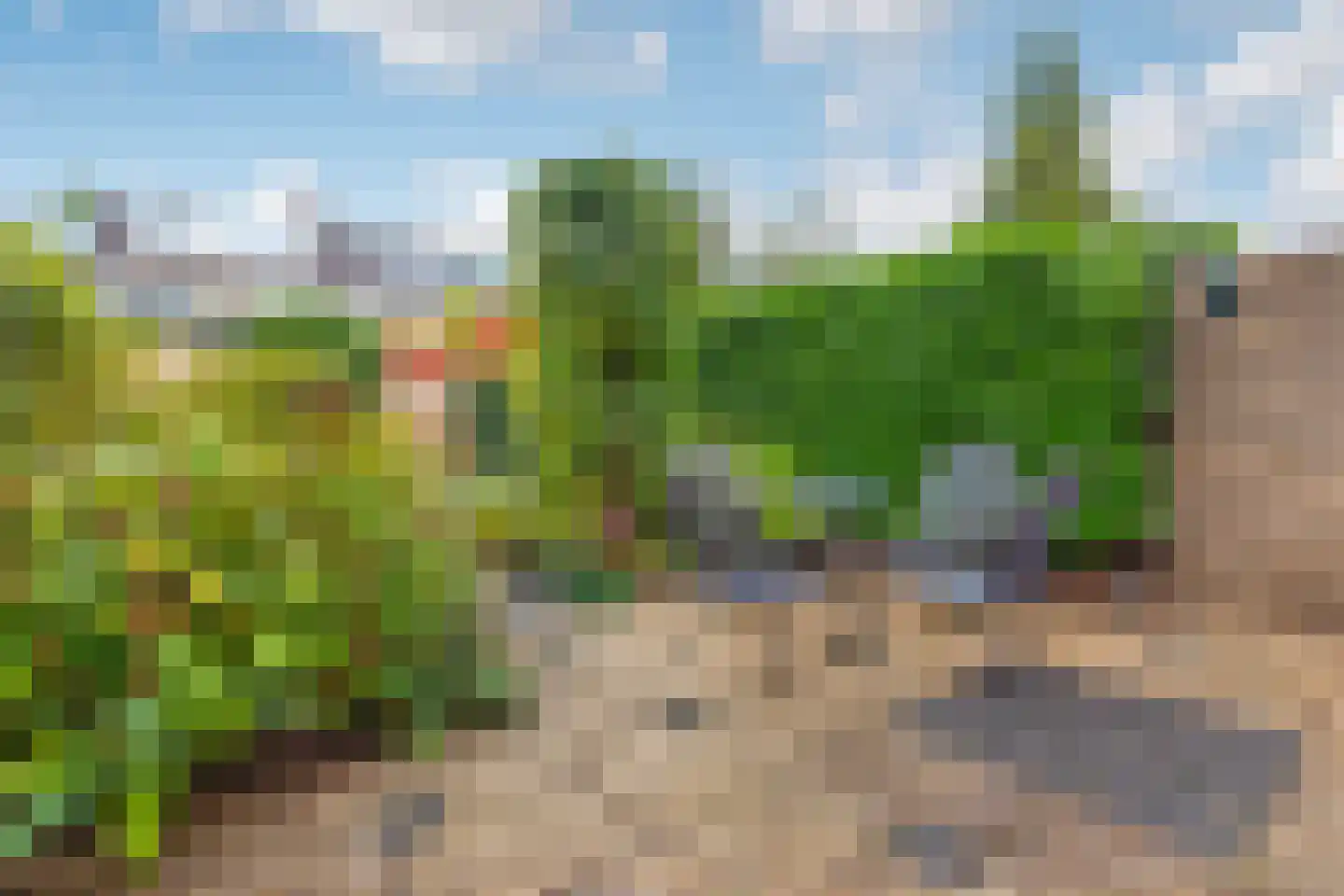 Boomstede 268 Maarssen thumbnail 47