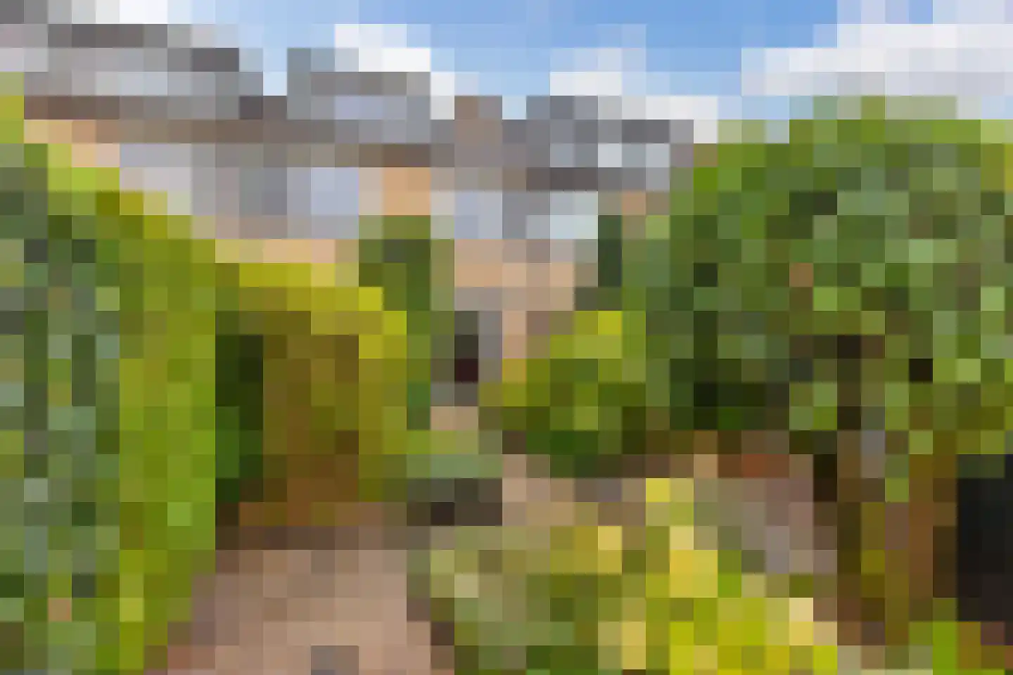 Boomstede 268 Maarssen thumbnail 52