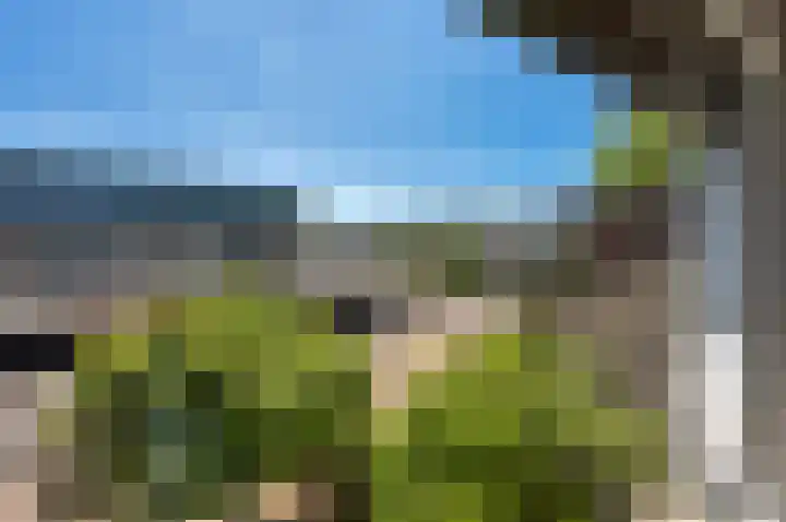 Boomstede 269 Maarssen thumbnail 22