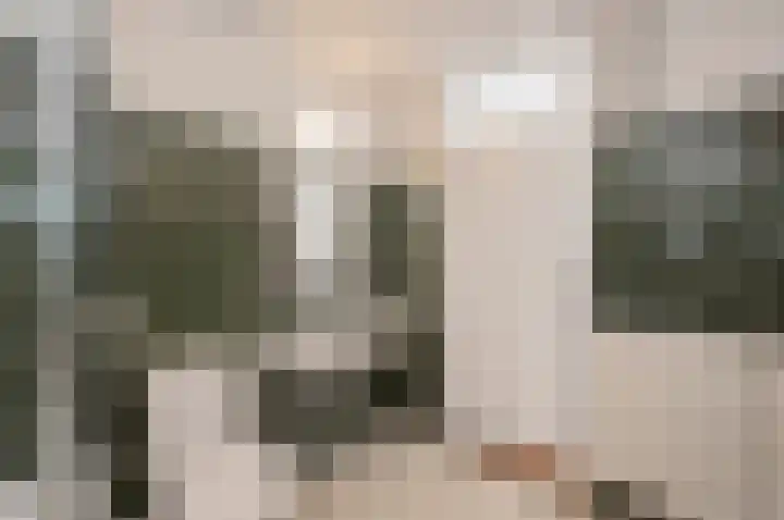 Boomstede 269 Maarssen thumbnail 25